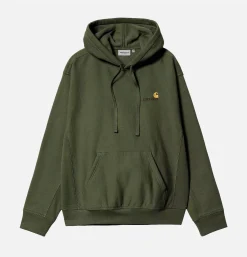 CARHARTT WIP American Script Hoodie Tarrago< Sweats & Polaires