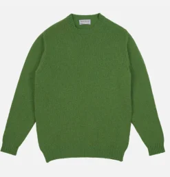 WILLIAM LOCKIE Pull Aryan New Lawn< Pulls & Cardigans